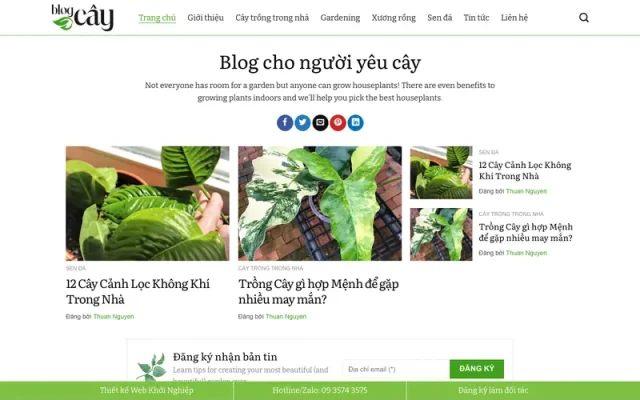Mẫu web tin tức 18