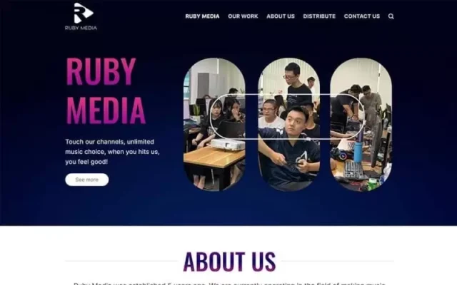 Mẫu web công ty media network