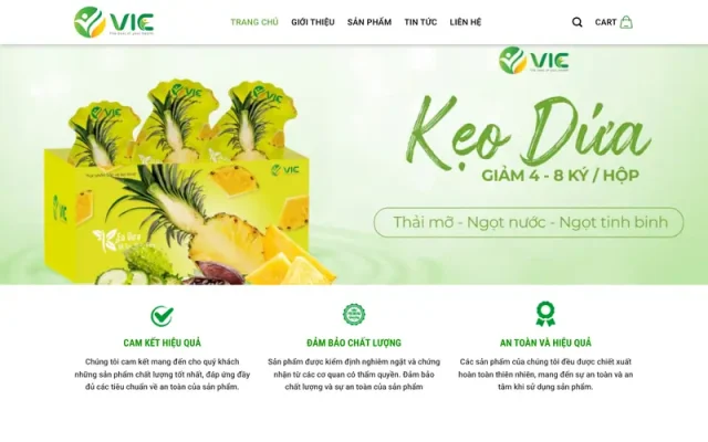 Mẫu web thực phẩm chức năng 17