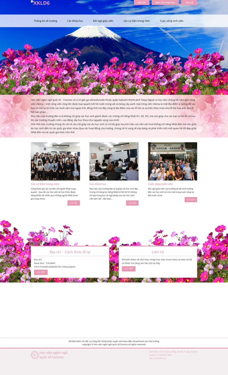 Mẫu web xkld 6