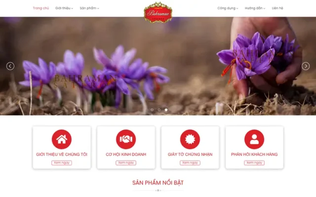 Mẫu web thực phẩm 24 bán hoa nghệ tây