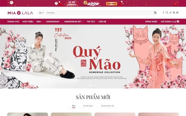 Mẫu web thời trang nội y 02