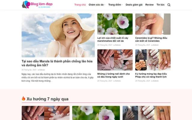 Mẫu web tin tức 11