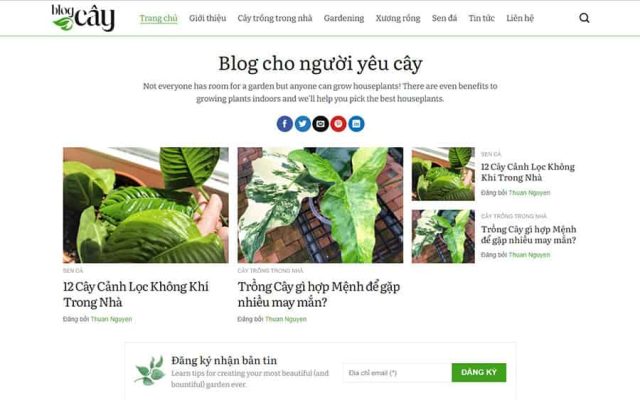 Mẫu web tin tức 12