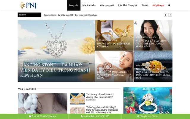 Mẫu web tin tức 22
