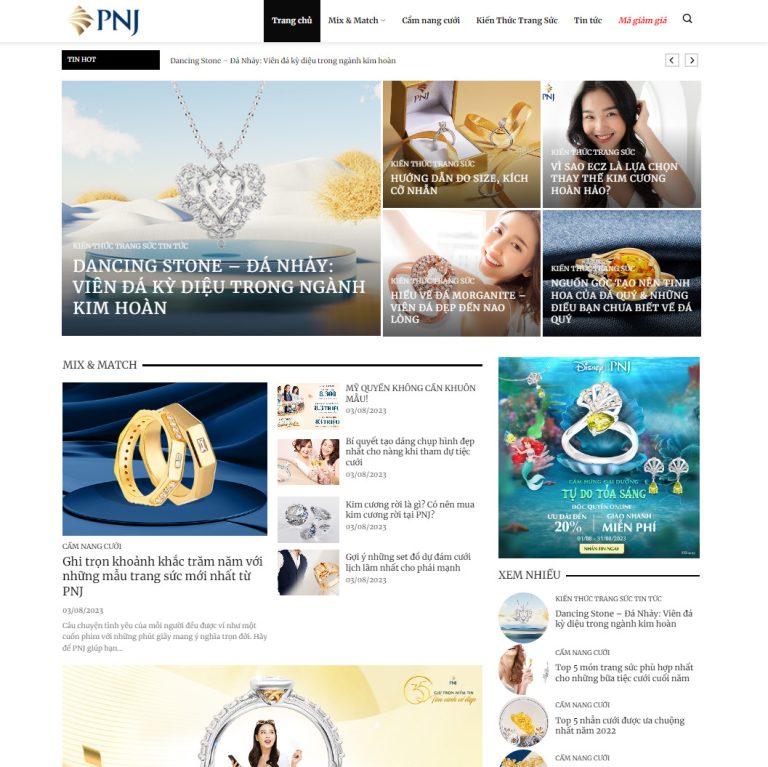 Mẫu web tin tức 22