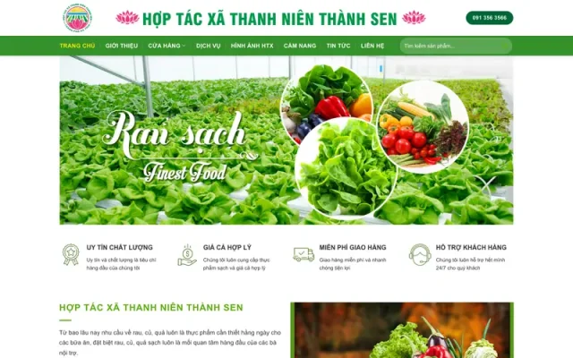 Mẫu web thực phẩm sạch 08