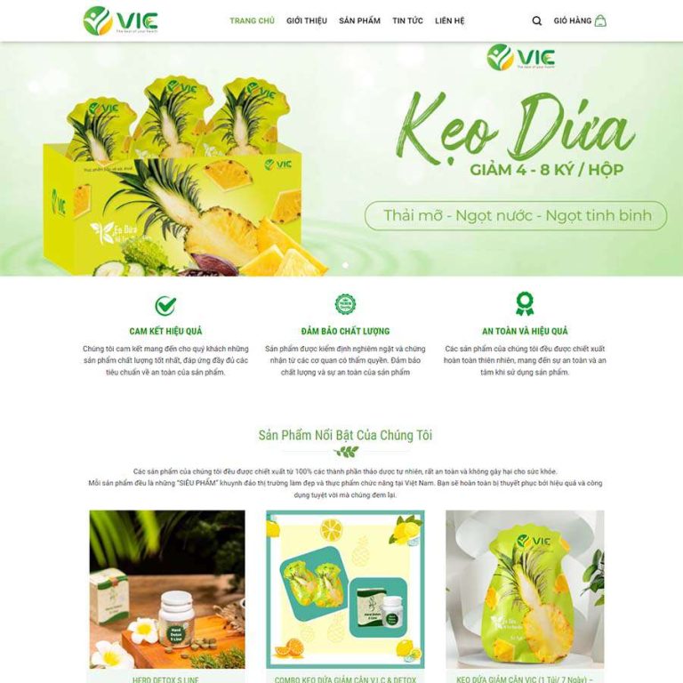 Mẫu web thực phẩm chức năng 17 – shop online