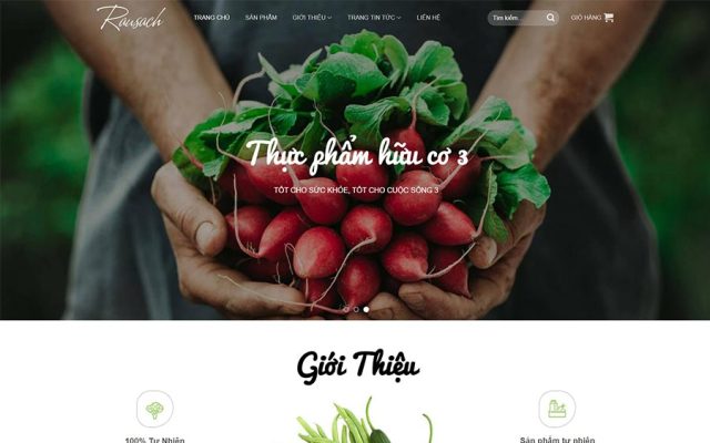 Mẫu web thực phẩm sạch 09